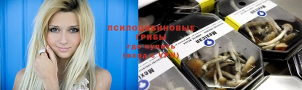 крисы Богородск