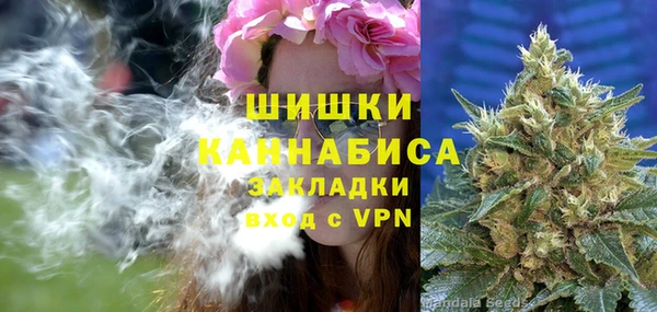 спиды Богданович