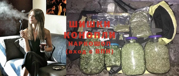 крисы Богородск