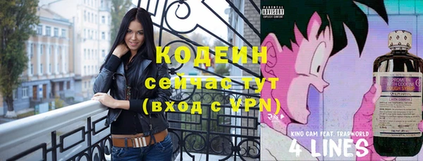 спиды Богданович